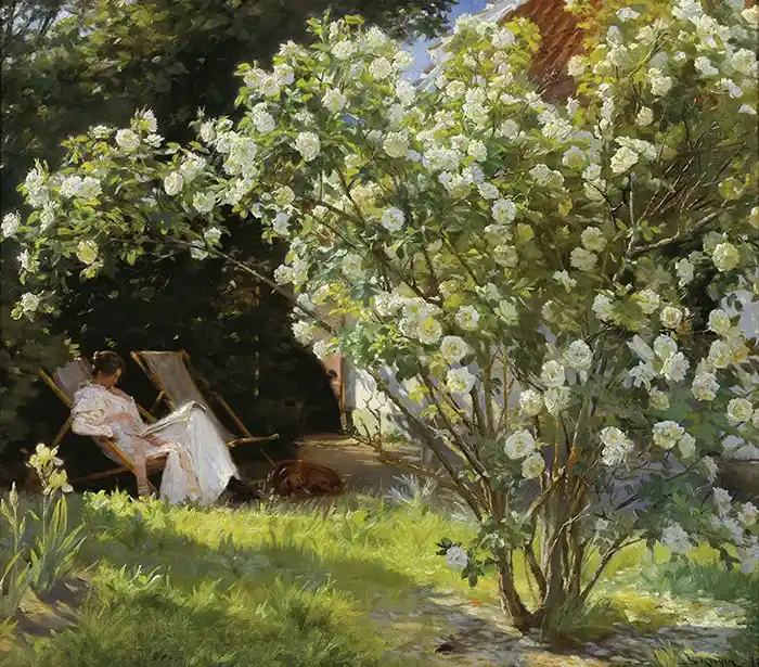Roses