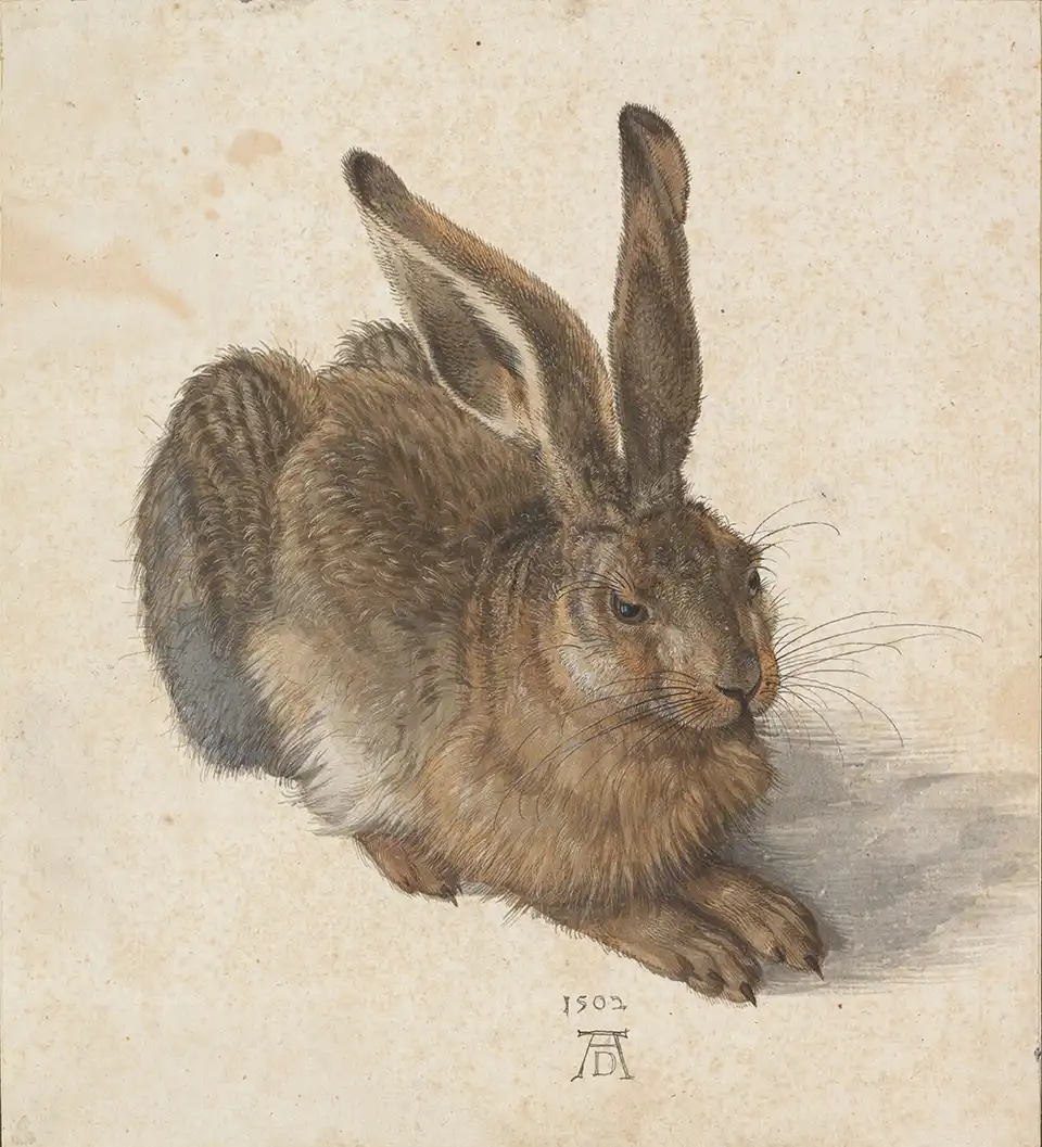 hare-painting-by-albrecht-durer hare-painting-by-albrecht-durer